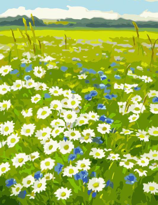 White Flowers Heaven