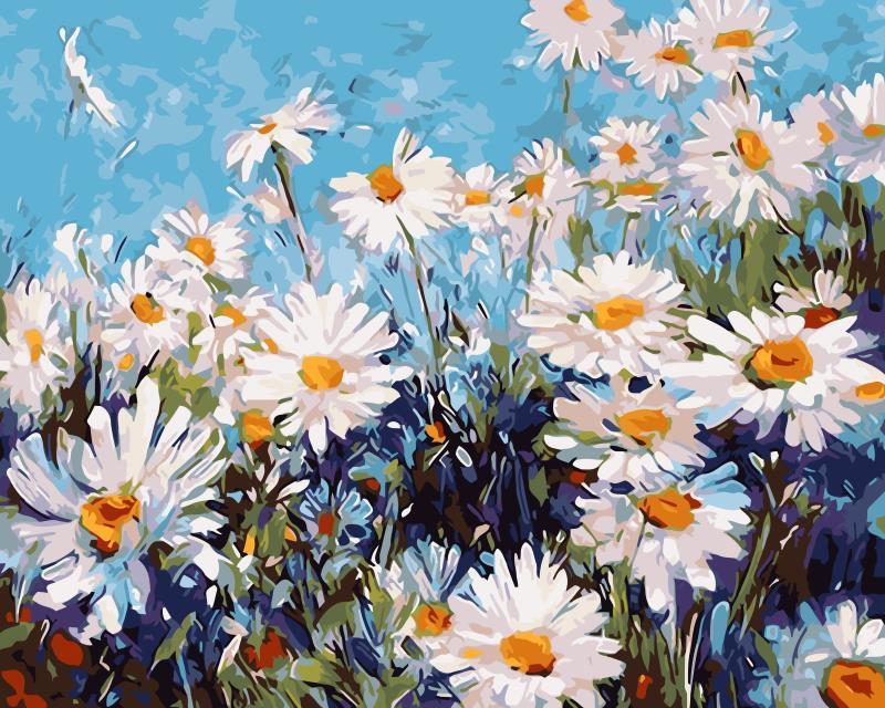 Paint By Numbers