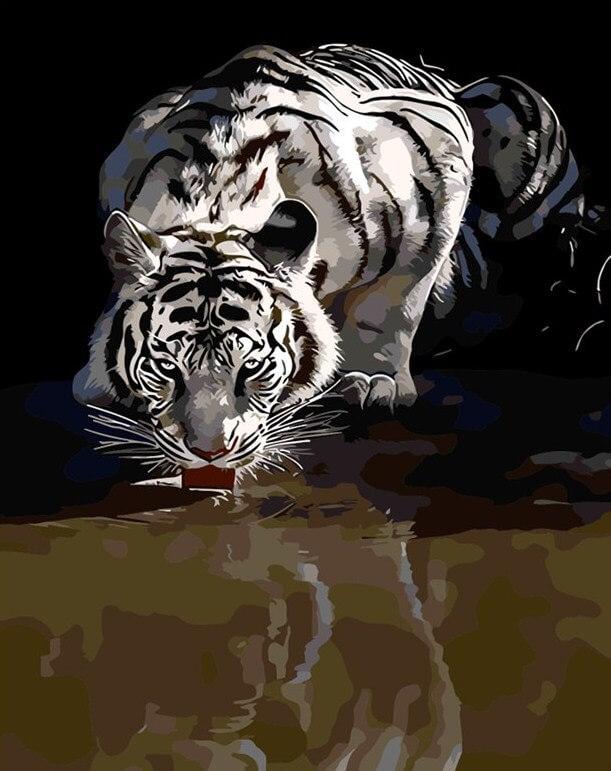 White Tiger Drinking Water