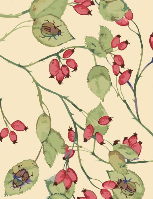 Roses Twig