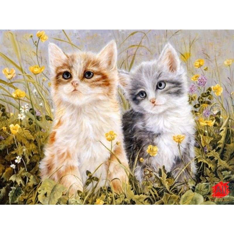 kittens paint by numbers