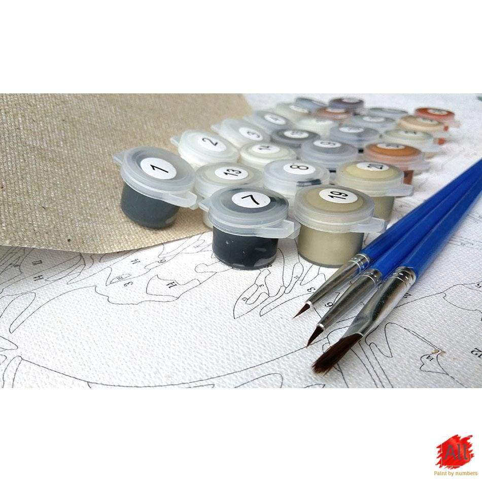 Paint By Numbers - Easy Paint By Number