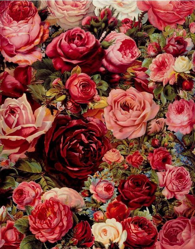 Roses Painting with DIY Kit - Paint Yourself