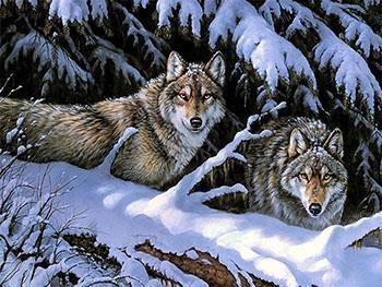 Framed Tigers, Horses, Wolves and Other Animal Paintings - All Paint by numbers