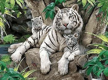 Framed Tigers, Horses, Wolves and Other Animal Paintings - All Paint by numbers