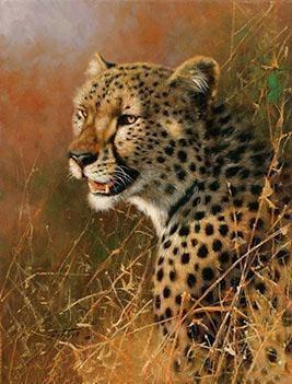Framed Tigers, Horses, Wolves and Other Animal Paintings - All Paint by numbers