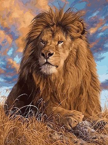 Framed Tigers, Horses, Wolves and Other Animal Paintings - All Paint by numbers