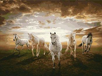 Framed Tigers, Horses, Wolves and Other Animal Paintings - All Paint by numbers