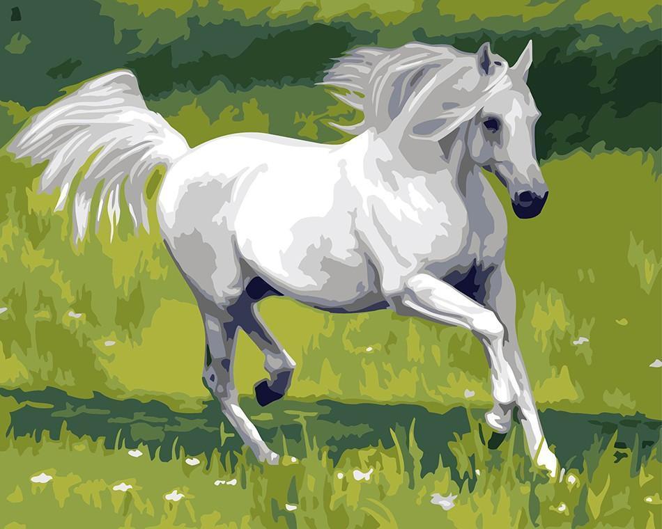 horse paint by numbers