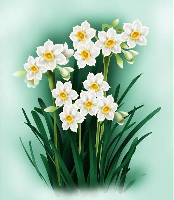 21 Beautiful Flowers Unframed and Framed Kits - All Paint by numbers