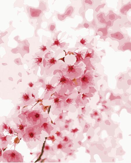 21 Beautiful Flowers Unframed and Framed Kits - All Paint by numbers