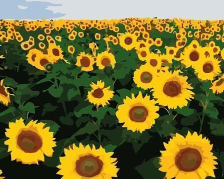 21 Beautiful Flowers Unframed and Framed Kits - All Paint by numbers