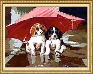 24 Stunning Animal unframed and Framed - All Paint by numbers