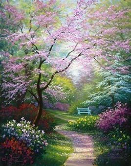 24 Framed Countryside and Other Paintings - All Paint by numbers