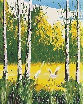 24 Framed Countryside and Other Paintings - All Paint by numbers