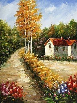 24 Framed Countryside and Other Paintings - All Paint by numbers