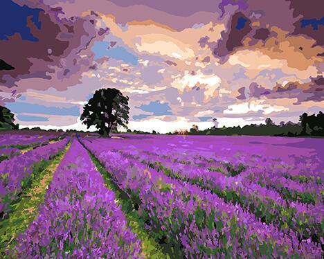20+ Paintings of Beach, Ocean and Countryside DIY Paintings - All Paint by numbers