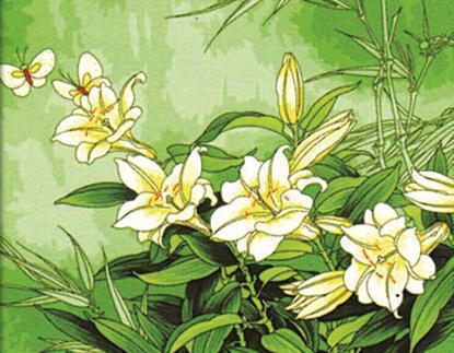 24 Different Paint by Number Painting Collection - All Paint by numbers