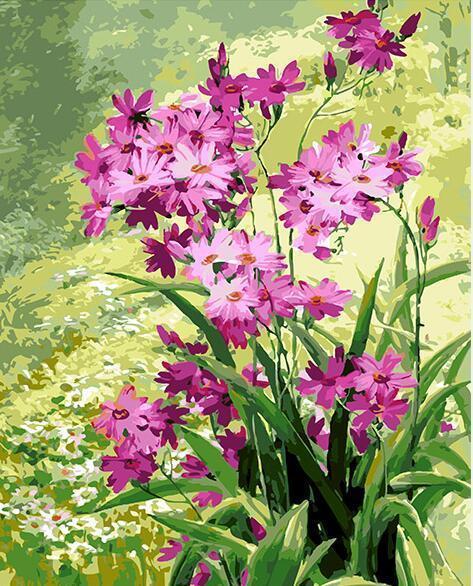 24 Different Paint by Number Painting Collection - All Paint by numbers