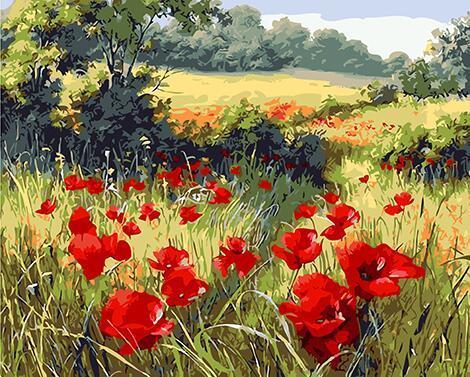 24 Different Paint by Number Painting Collection - All Paint by numbers