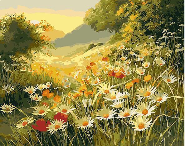 24 Framed and unframed Flowers Paintings - All Paint by numbers