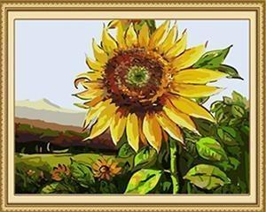 22+ Framed and Unframed FLORAL Paintings - GIFT A FRIEND - All Paint by numbers