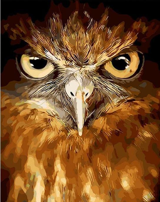 Staring Eagle - Paint by Numbers