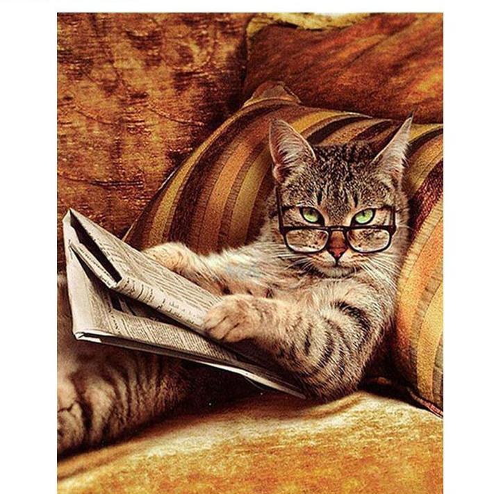 Professor Cat DIY Painting - All Paint by numbers