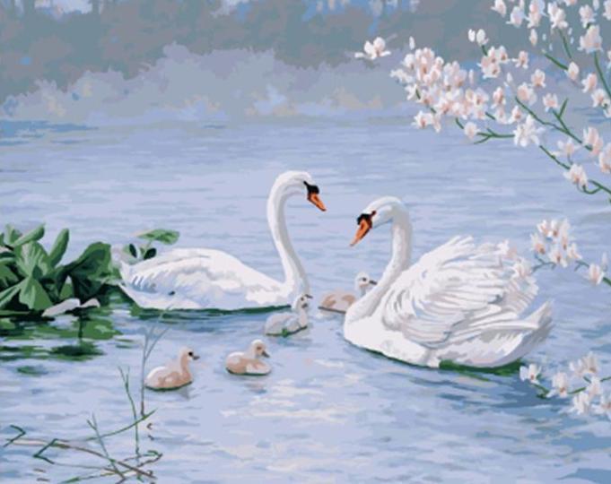 Swan Family
