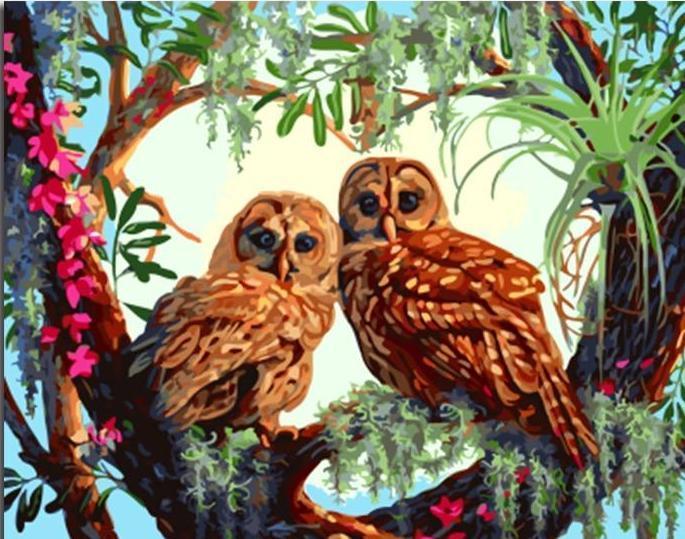 best birds paint by numbers