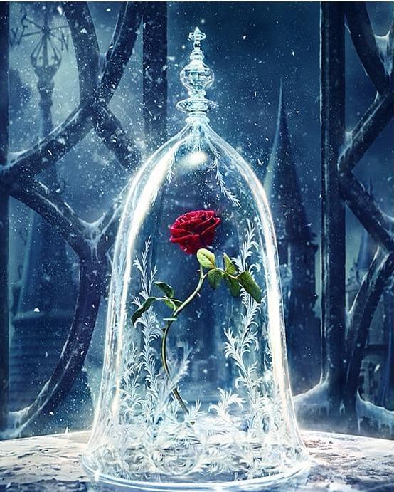 enchanted rose paint by numbers