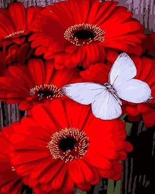 flower butterfly
