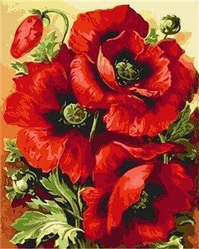 23 Flowers - Piant by Numbers Kits for Adults - All Paint by numbers