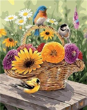 23 Flowers - Piant by Numbers Kits for Adults - All Paint by numbers