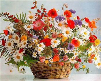 23 Flowers - Piant by Numbers Kits for Adults - All Paint by numbers