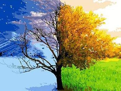 Two Seasons