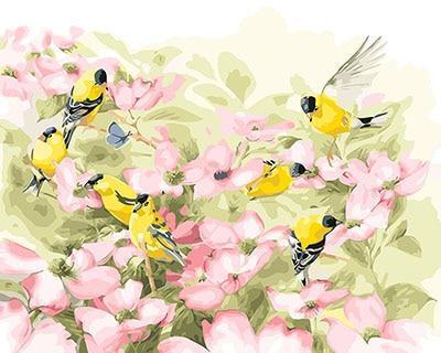 Beautiful Collection - Paint by Number Kits - All Paint by numbers