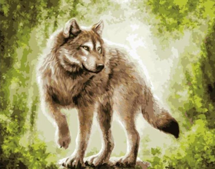 A Wolf in the Forest - All Paint by numbers