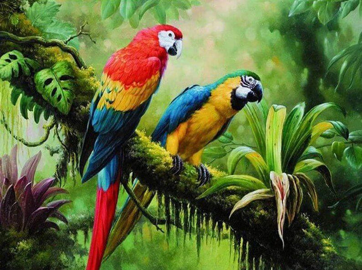 Parrots Paint By Numbers