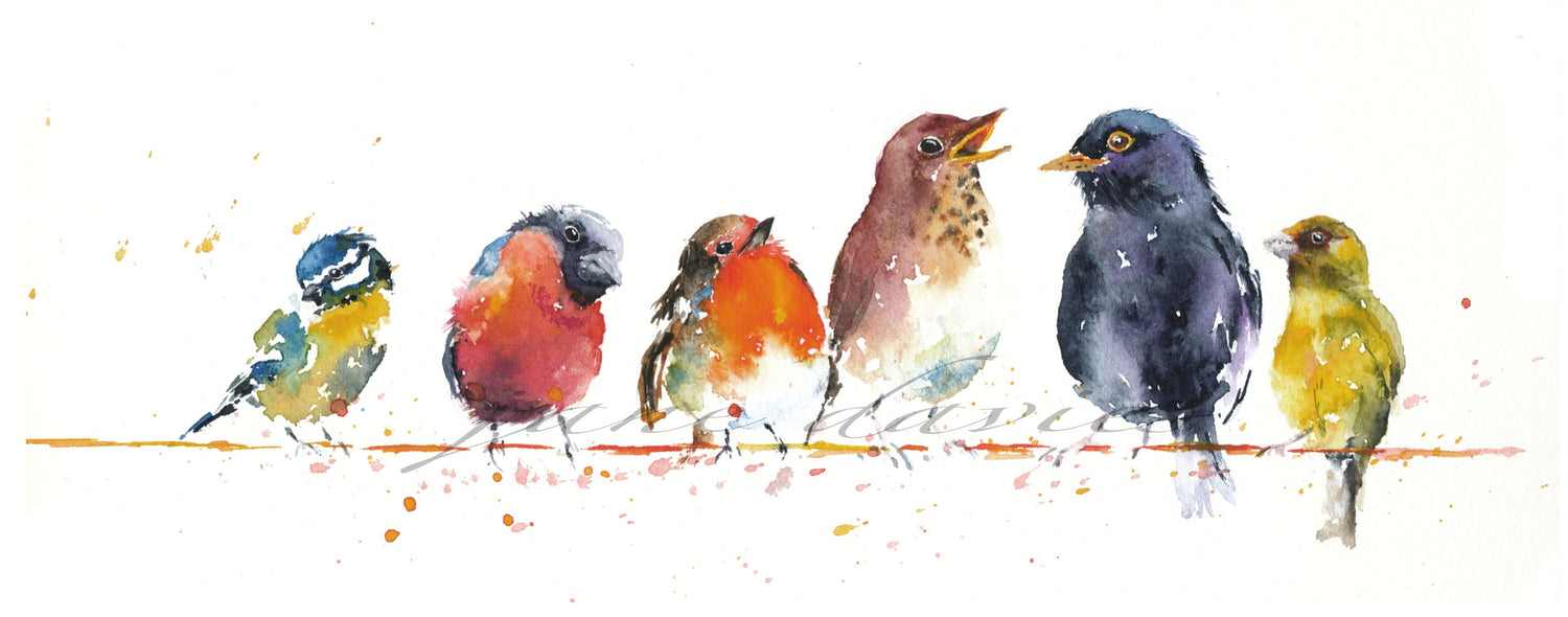 Birds Paint By Numbers