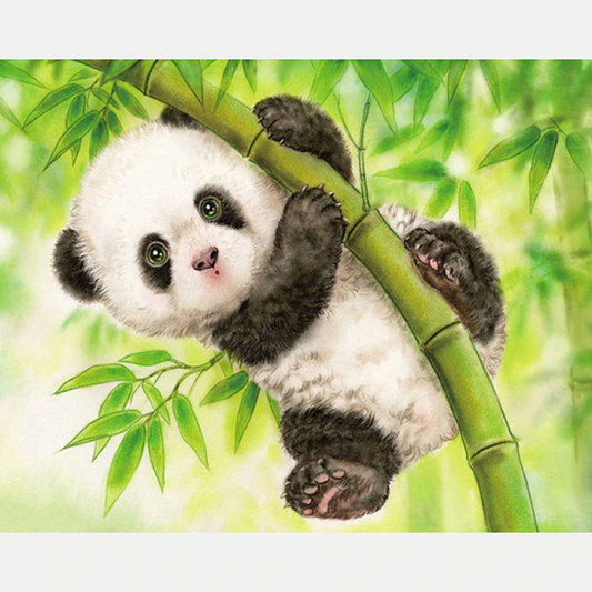 Adorable Panda - Paint By Numbers