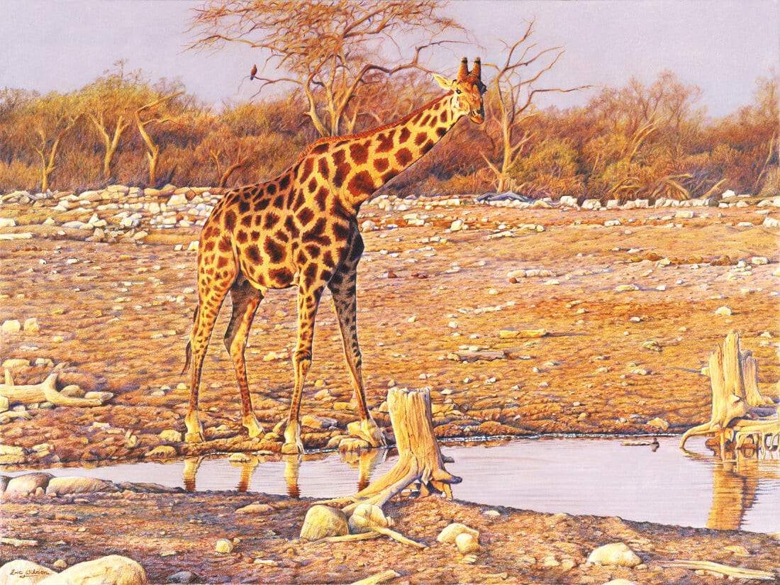 Giraffe Paint By Numbers