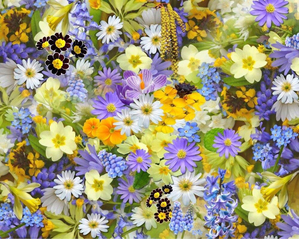 Amazing Colorful Bloom - PBN Kit