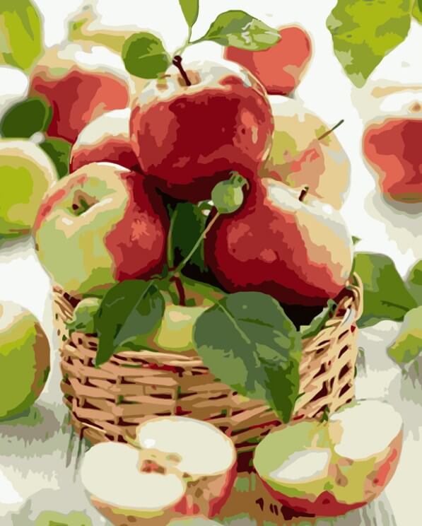 Apples Basket Paint by Numbers Kit - All Paint by numbers