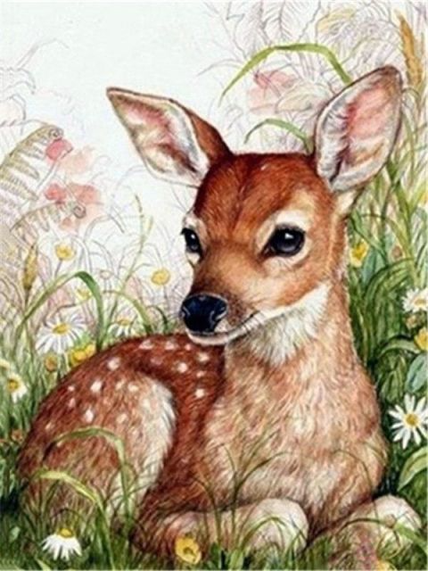 Baby Deer - Paint By Numbers