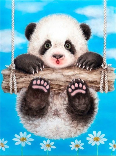 Baby Panda - Paint By Numbers