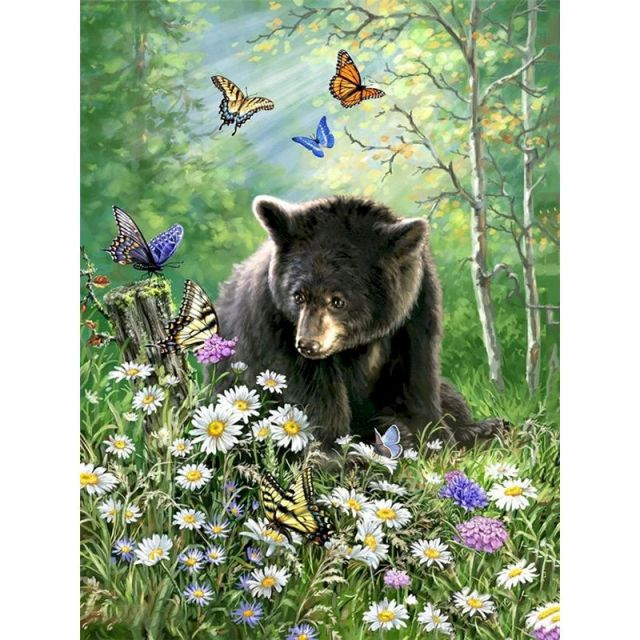 Bear &  Butterflies - Paint by Numbers