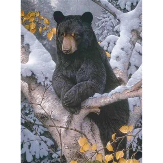 Black Bear - Paint By Numbers