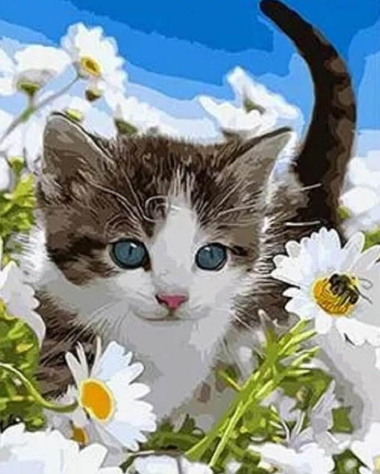 Cat in Daisy Garden - All Paint by Numbers