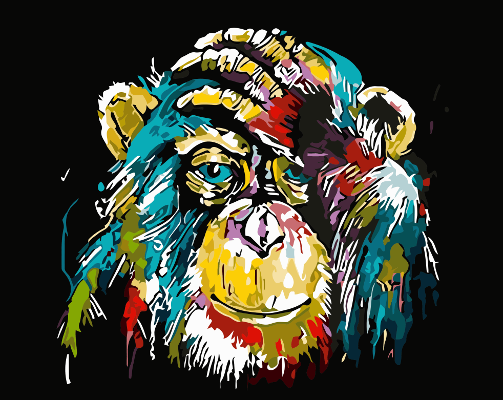 Colorful Chimpanzee [USA SHIPPING] – AllPaintbyNumbers